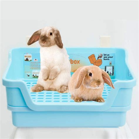 giant rabbit litter box